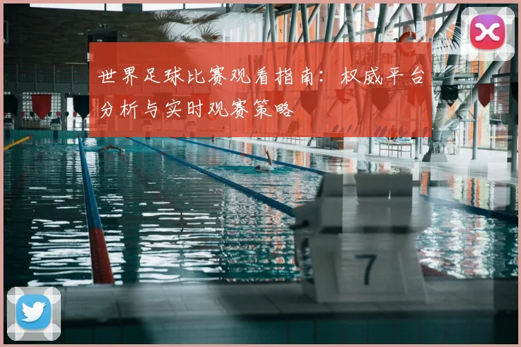 世界足球比赛观看指南：权威平台分析与实时观赛策略