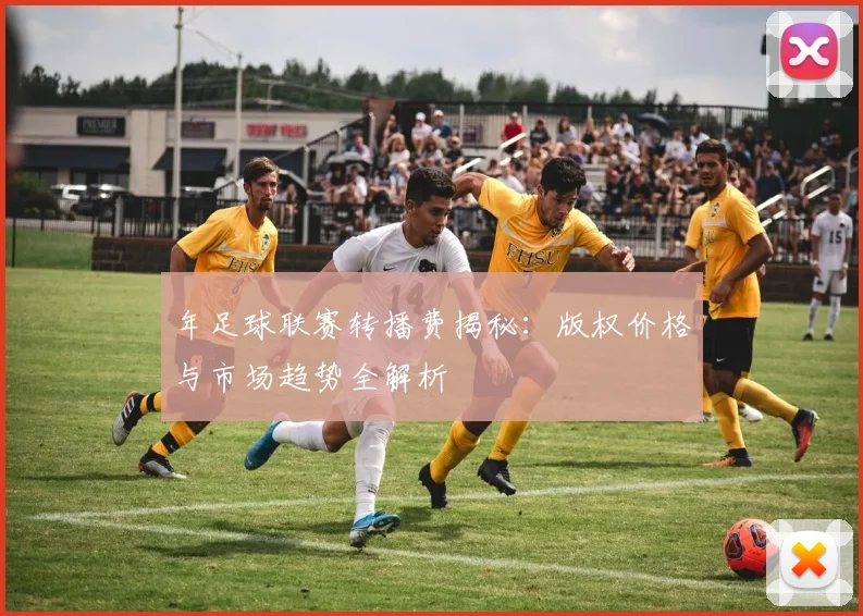 年足球联赛转播费揭秘：版权价格与市场趋势全解析