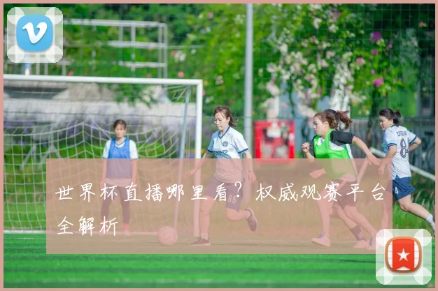 世界杯直播哪里看？权威观赛平台全解析