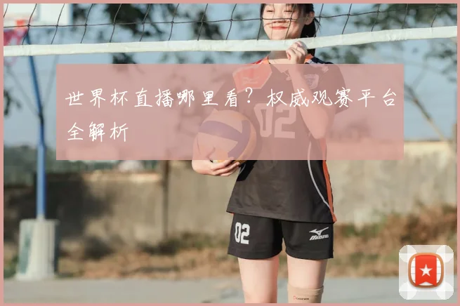 世界杯直播哪里看？权威观赛平台全解析
