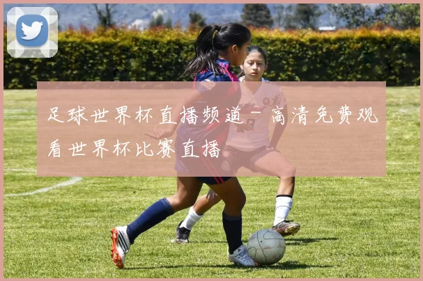 足球世界杯直播频道 - 高清免费观看世界杯比赛直播